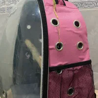 کیف حمل پرنده