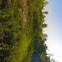 فروش ۲۶۰ متر زمین شهری شفت