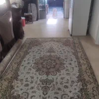 فرش، فریزر و فرگاز