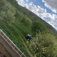 فروش گاوداری /۵/۶۰۰متر/سند تک برگ|فروش دفتر صنعتی، کشاورزی، تجاری|تیکمه داش, |دیوار