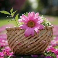 زمین-با-متراژ-زیاد