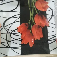 پیش دستی و دیس
