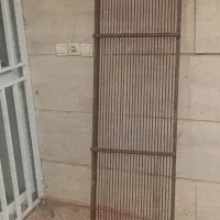 الک زیتون