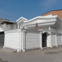 شاخ گوزنی اقساط ۶ ماهه|مصالح و تجهیزات ساختمان|شیرگاه, |دیوار