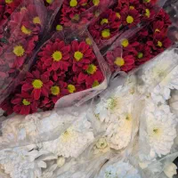 گل آرایی مجالس