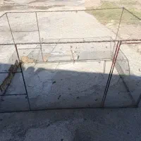 جای مرغ وخروس