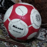 توپ سالن اصلی میکاسا