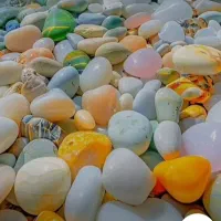 بلیط استخر باران