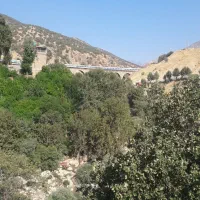 باغ ۱۰۰۰متری اسلامیه