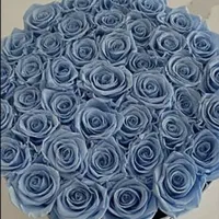 گل‌ربانی مخصوص هدیه دادن