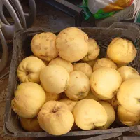 بی تازە درجە یک