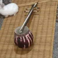 کمانچه دست ساز|سازهای سنتی|بروجرد, |دیوار