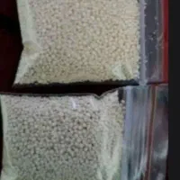 پودر شپش