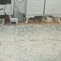 فروش  فرش ۹ متری