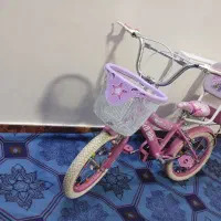 دوچرخه 16صورتی