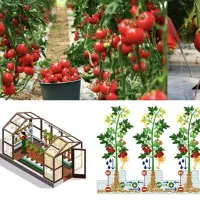 طرح توجیهی ، امکانسنجی