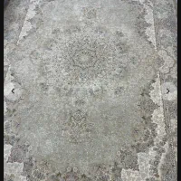 فرش ۶ متری و ۴ متری|فرش|رشت, استقامت ۲|دیوار