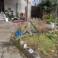 راهنمایی کافه شریکی|اجارهٔ مغازه و غرفه|رشت, آتشگاه|دیوار