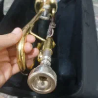 ترومپت طلایی شاتو|سازهای بادی|اقبالیه, |دیوار