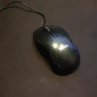 ماوس
