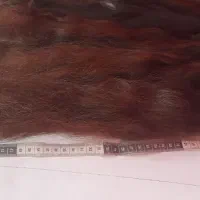 موی طبیعی|آرایشی، بهداشتی، درمانی|تهران, شکوفه (عبدل آباد)|دیوار
