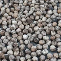 گردو ارگانیک تازه وپرچرب امسال چورژی|خوردنی و آشامیدنی|پاوه, |دیوار