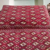 پشتی|پشتی|فلاورجان, |دیوار