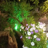 سوییت باغ با همه امکانات بکر و با چشم انداز زیبا|اجارهٔ کوتاه‌مدت آپارتمان و سوئیت|خوانسار, |دیوار