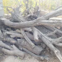 چوب و الوار خشک از درخت های بادام و به