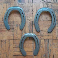 نعل اسب پاخورده