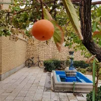 کمک به هم نوع