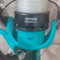 لنسر|ماهیگیری|دورود, |دیوار