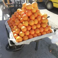 پرتغال تامسون شیرین و ابدار ضمانتی درب منزل