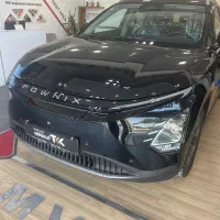 Fx ev