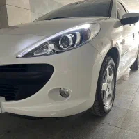 ۲۰۷ پاناروما دنده ای