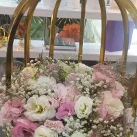 بله برون و عقد و عروسی