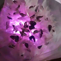کادوی