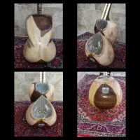 ساز تار حرفه ای.