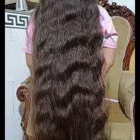 موسالم وطبیعی