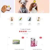 طراحی انواع سایت با پشتیبانی رایگان|خدمات رایانهای و موبایل|رشت, حمیدیان|دیوار