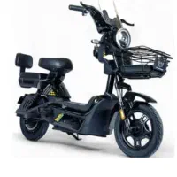 موتور سیکلت برقی /دوچرخه برقی  WIND HORSE چکی بخر