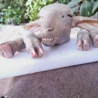 تمیز کردن کله پاچه