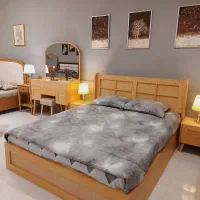 مبلمان پاسارگاد(نقدواقساط)  سرویس‌خواب