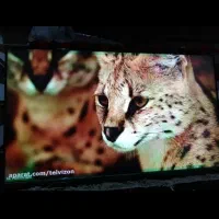 ال ای دی فول فول زیرقیمت بازار به قیمت عمده|تلویزیون و پروژکتور|اهواز, پردیس دو|دیوار