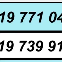 0919.50.50.255|سیم‌کارت|تهران, گلستان (شهرک راه آهن)|دیوار