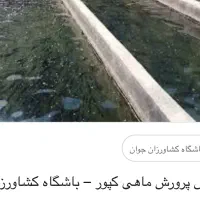 20-هکتار-مزرعه-پرورش-ماهی