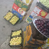 حراج انواع میوه هندوانه طالبی هلوگرمک آلبالو امروز|حراج|اصفهان, خانه اصفهان|دیوار