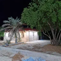 باغ شهری روستای چاه عربی اتوبان بوشهر برازجان