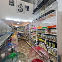 پت شاپ طوطی سانان (پرنده فروشی)