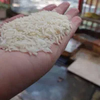 برنج فجر ،هاشمی،دمسیاه|خوردنی و آشامیدنی|تهران, راه آهن|دیوار